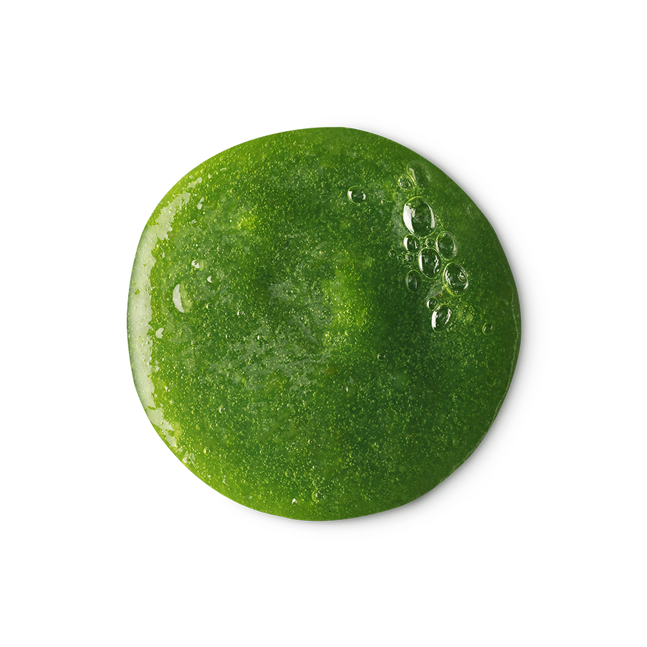Wasabi Shan Kui